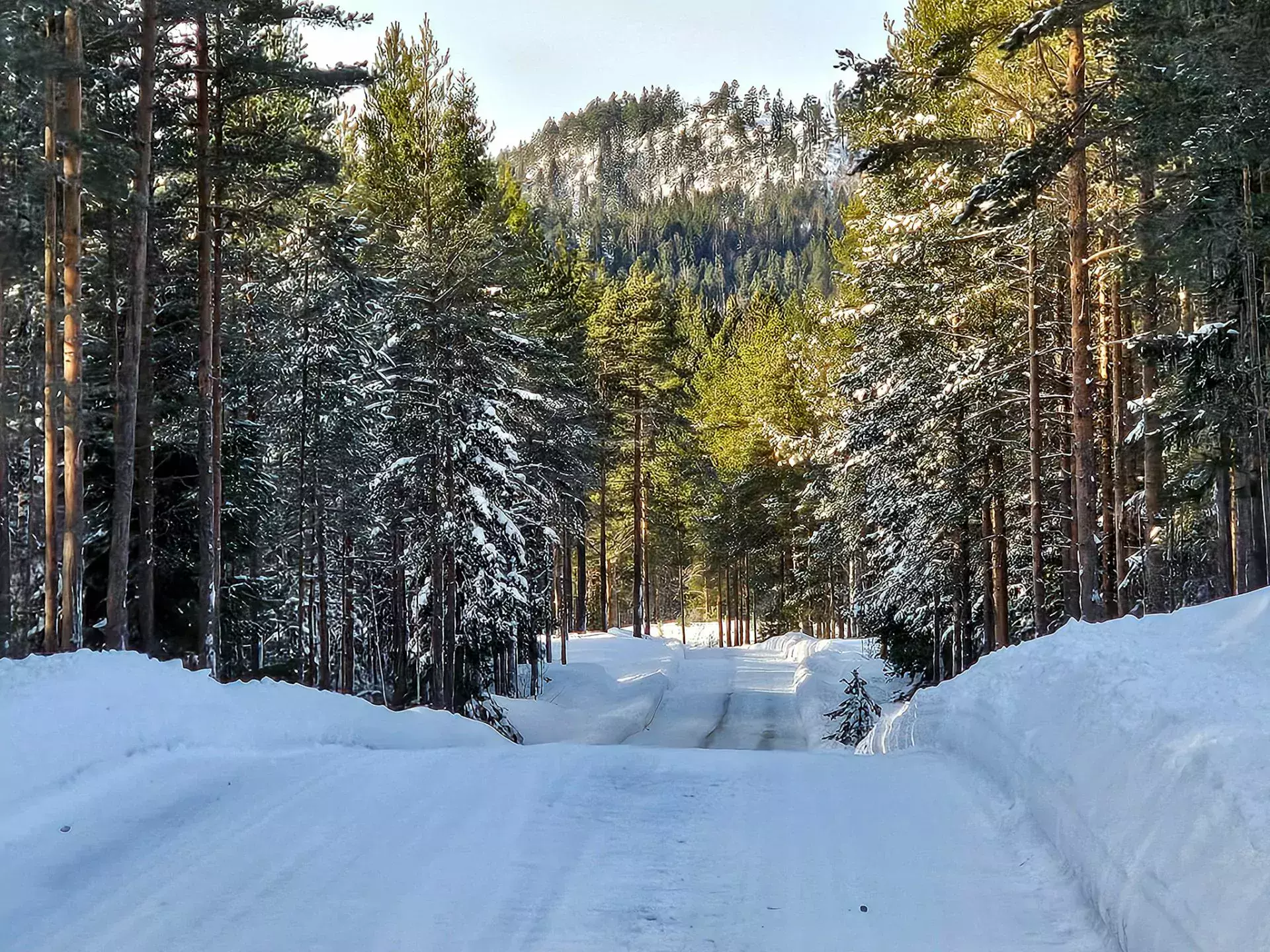 mistrzostwa aluksne kołtun kotarba norwegia łotwa estonia szwecja