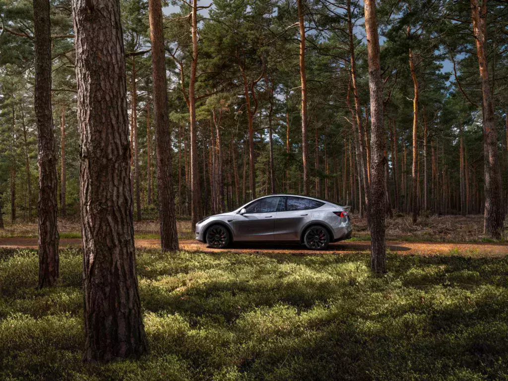 Tesla Model Y na leśnej drodze