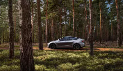 Tesla Model Y na leśnej drodze