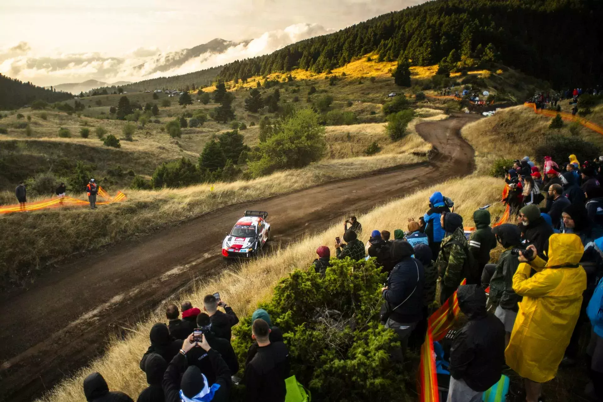 wrc nowa punktajca punkty