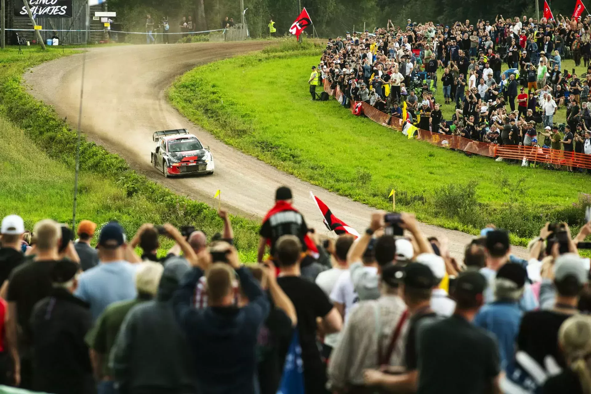 wrc thierry neuville wywiad