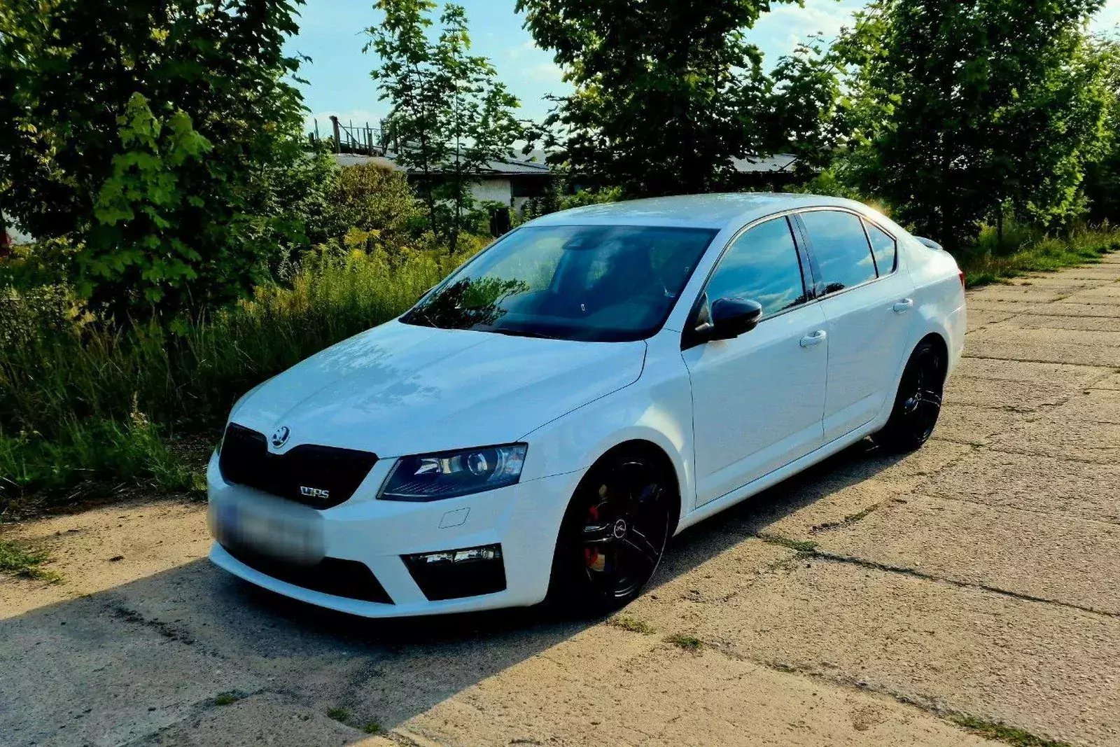 600-konna-skoda-octavia-rs