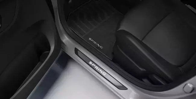 Dacia Spring FL 2024 EV