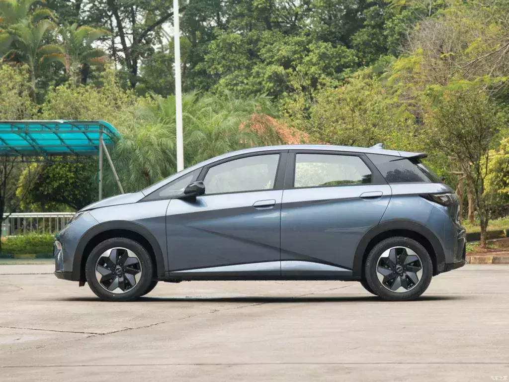 BYD Dolphin Honor Edition 2024 420 km