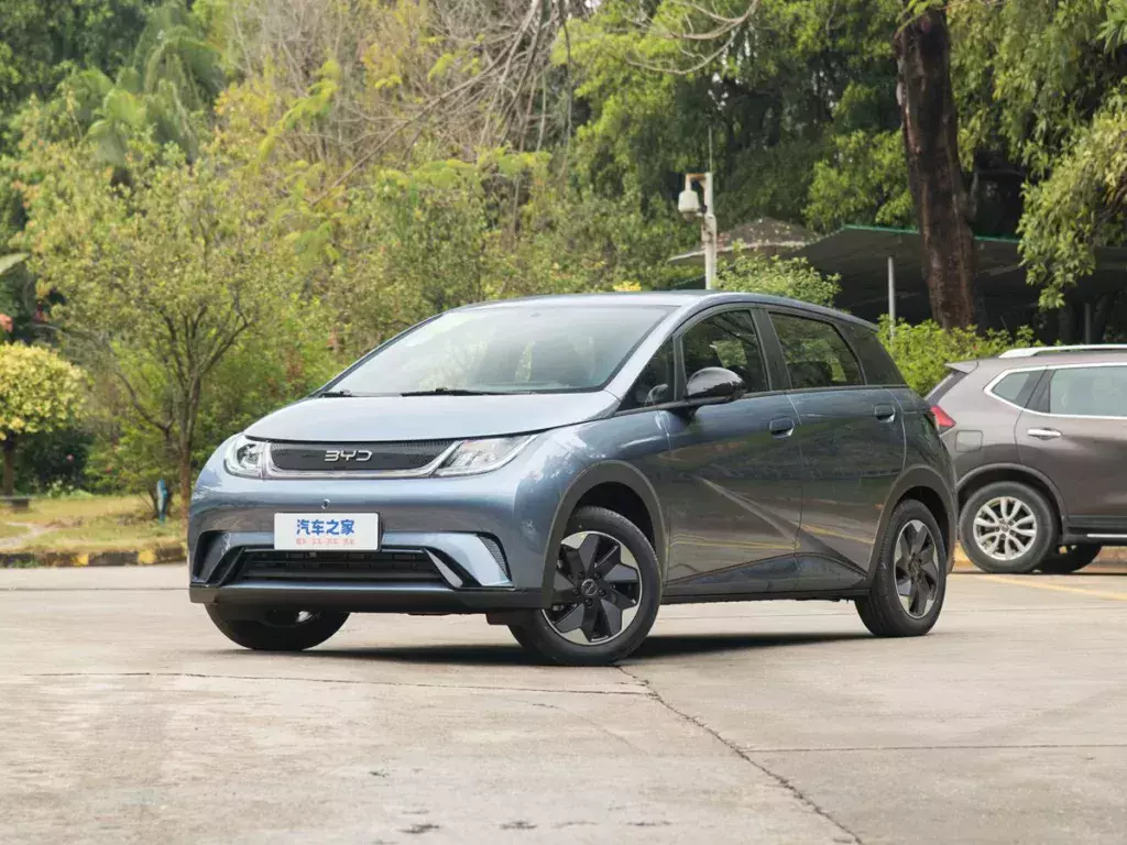 BYD Dolphin Honor Edition 2024 420 km