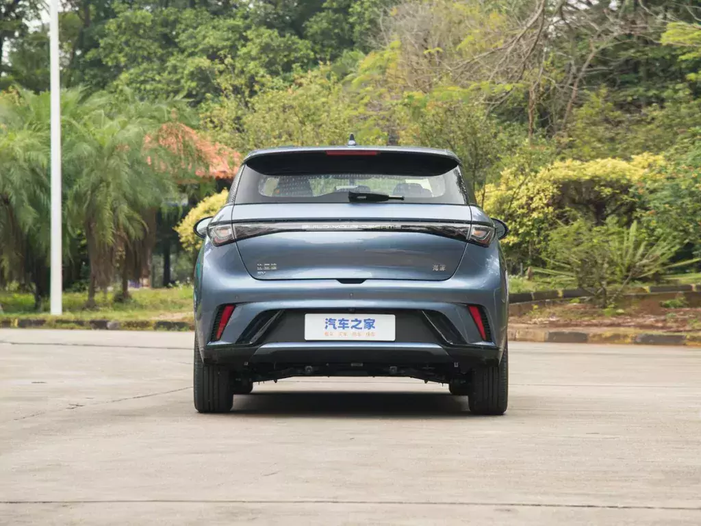 BYD Dolphin Honor Edition 2024 420 km