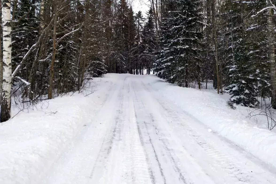 rallijs rally sarma polacy rajdy samochodowe łotwa gulbene