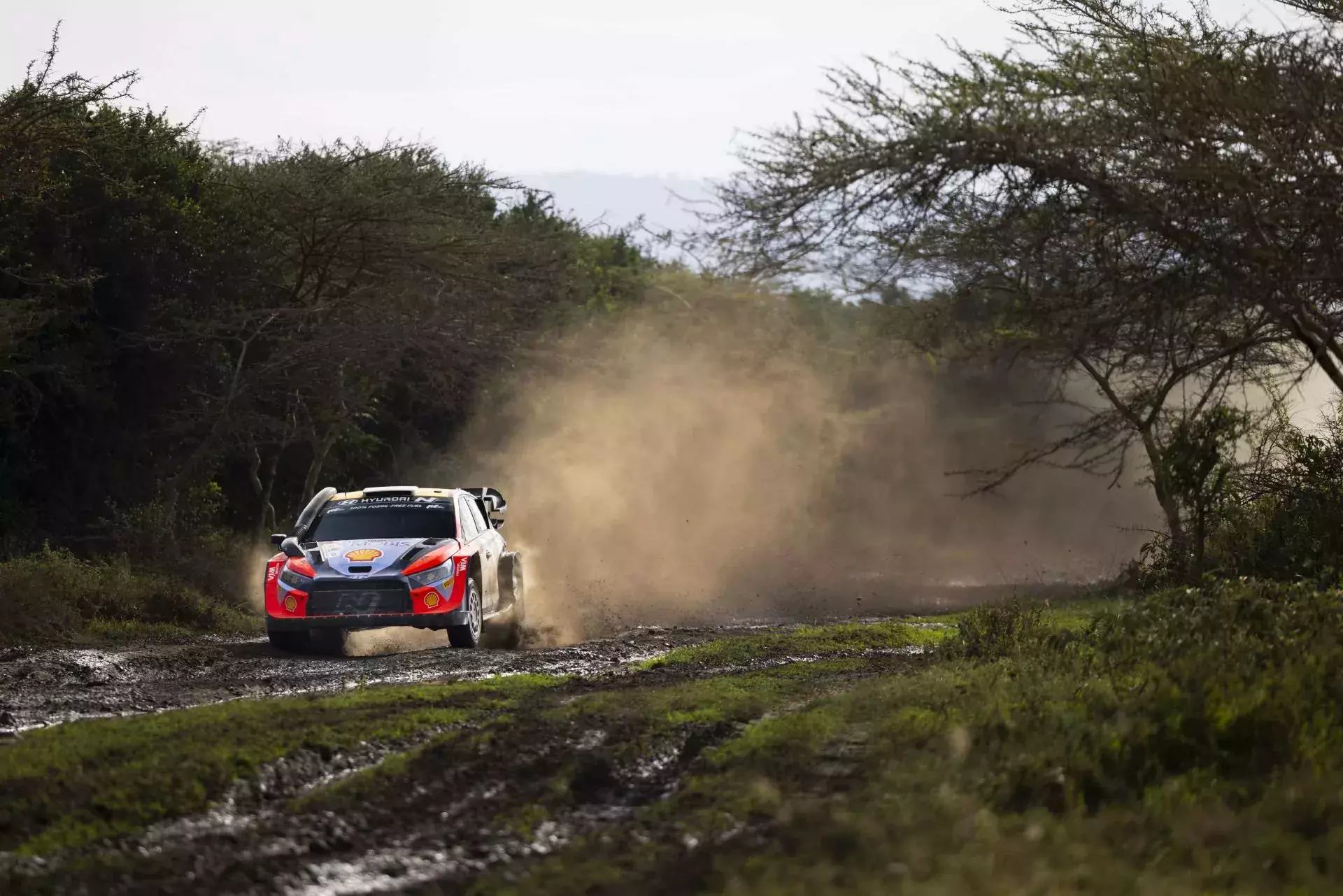 WRC Rajd Safari
