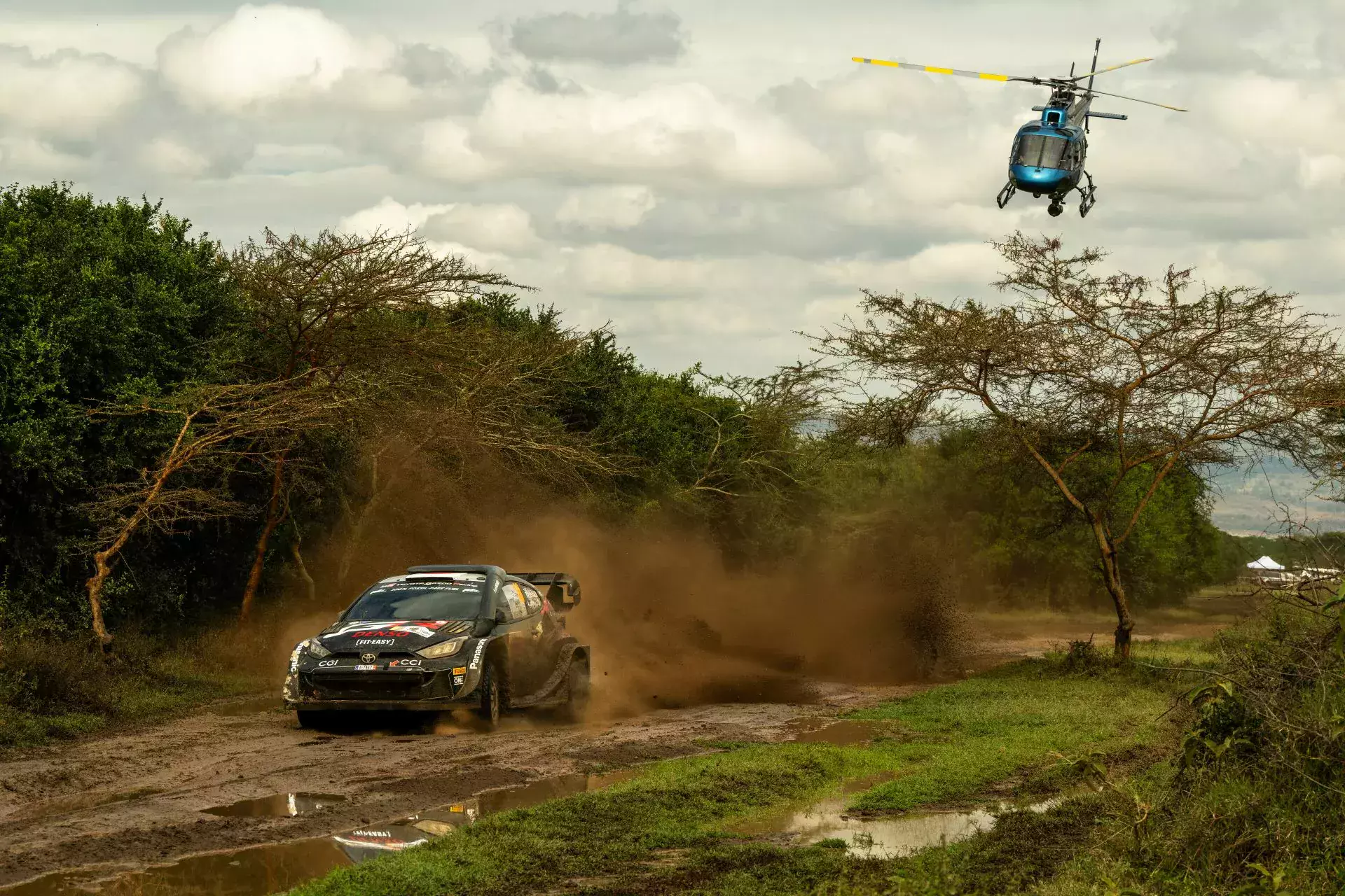 WRC Rajd Safari