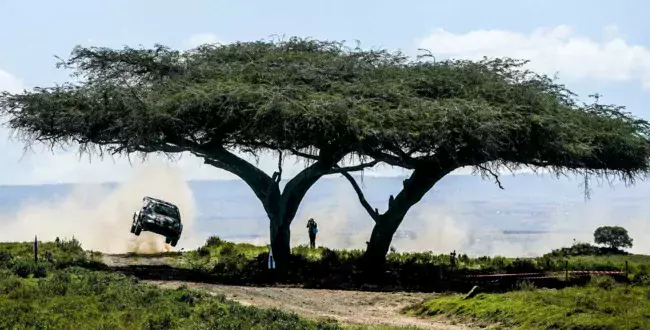 wrc rajd safari