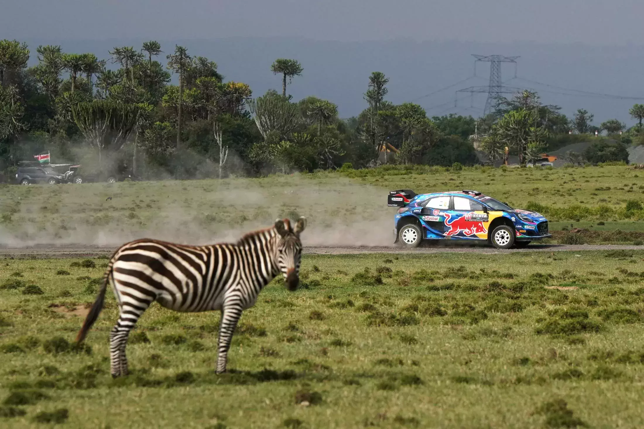Rajd Safari WRC Kenia