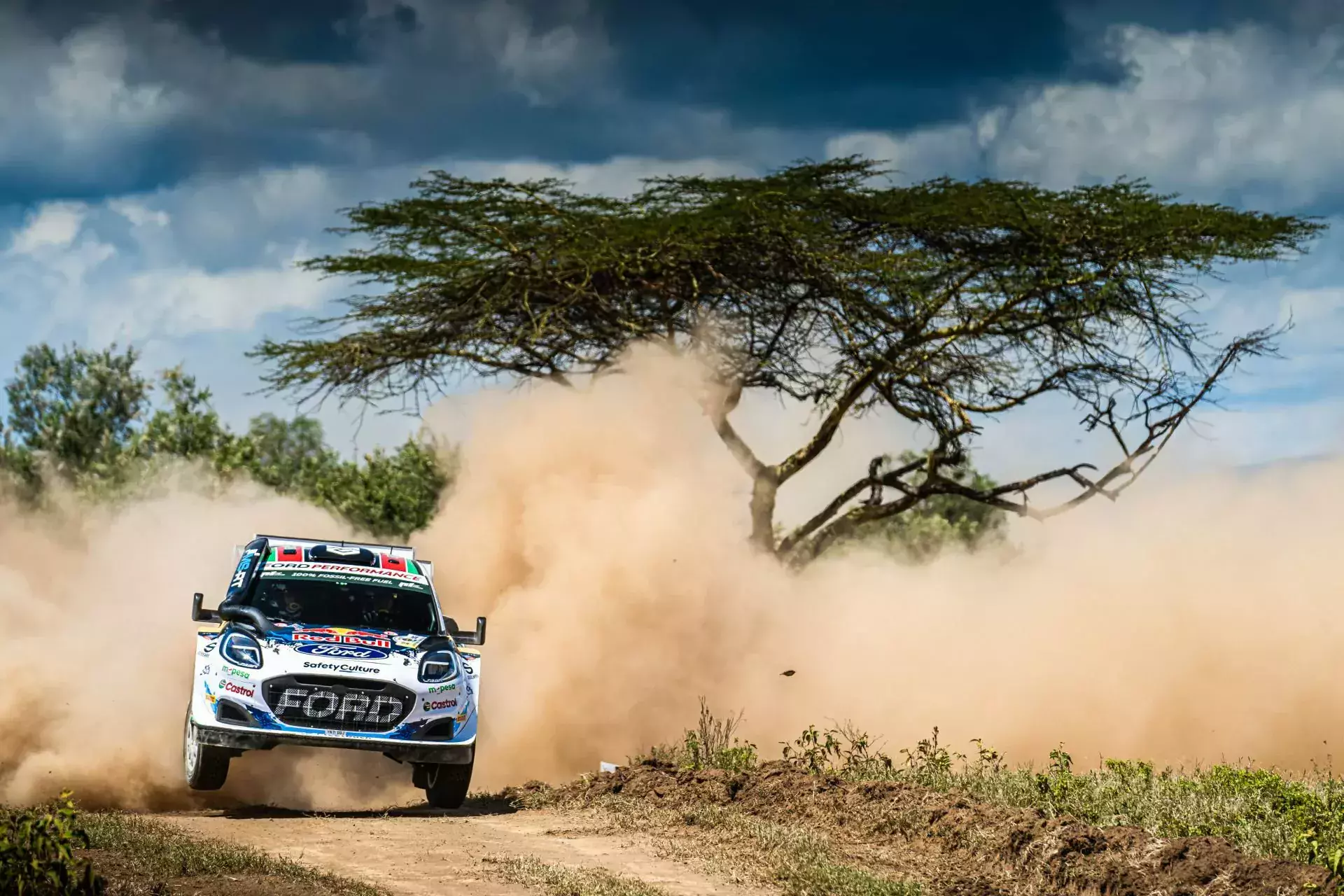 wrc rajd safari
