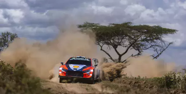 wrc rajd safari