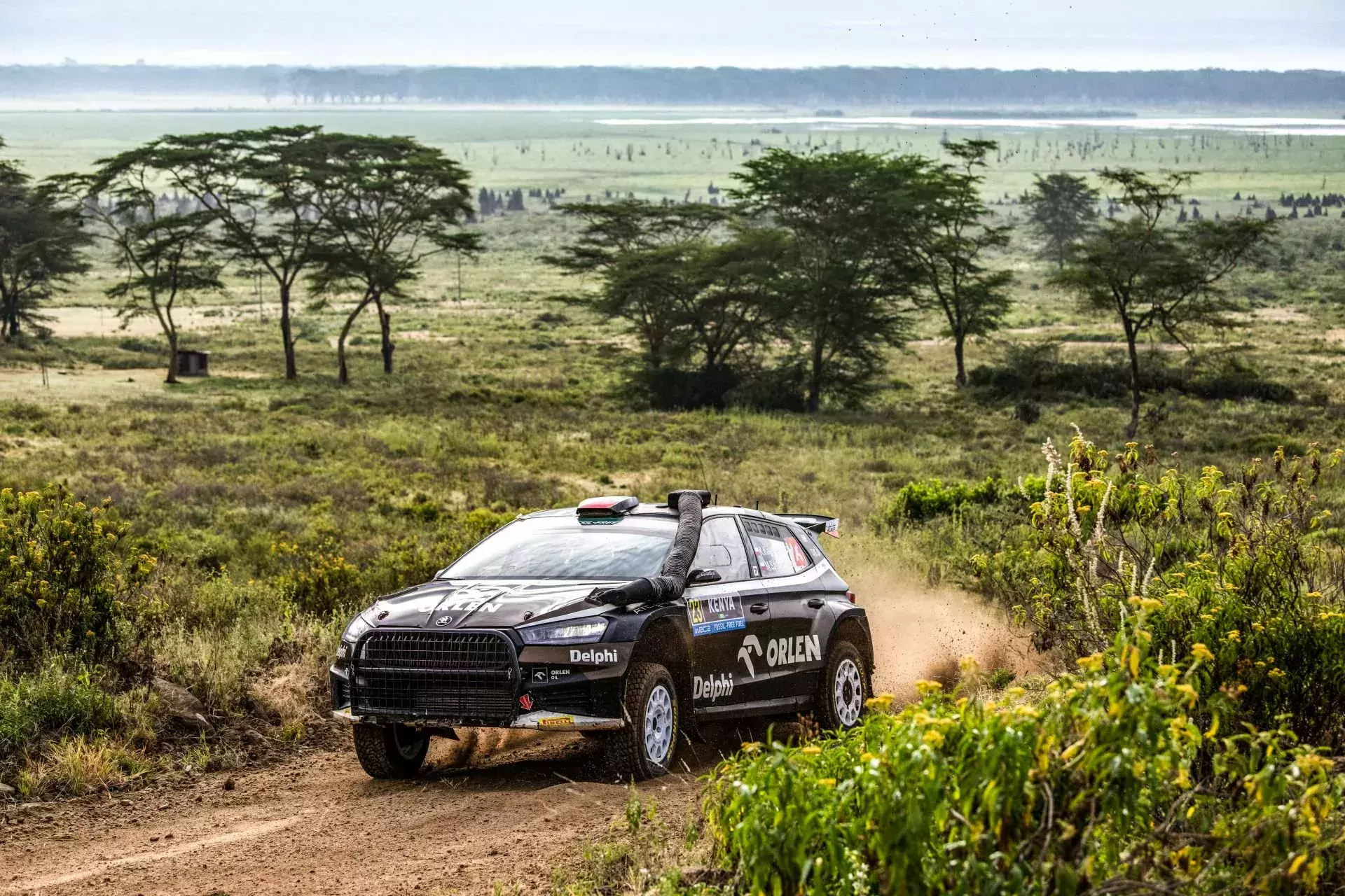wrc rajd safari kenia kajetanowicz orlen team