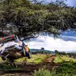 Adrien Fourmaux / Alex Coria / Rajd Safari 2024 / WRC / Ford Puma Rally1 / wyczynowy miejski SUV