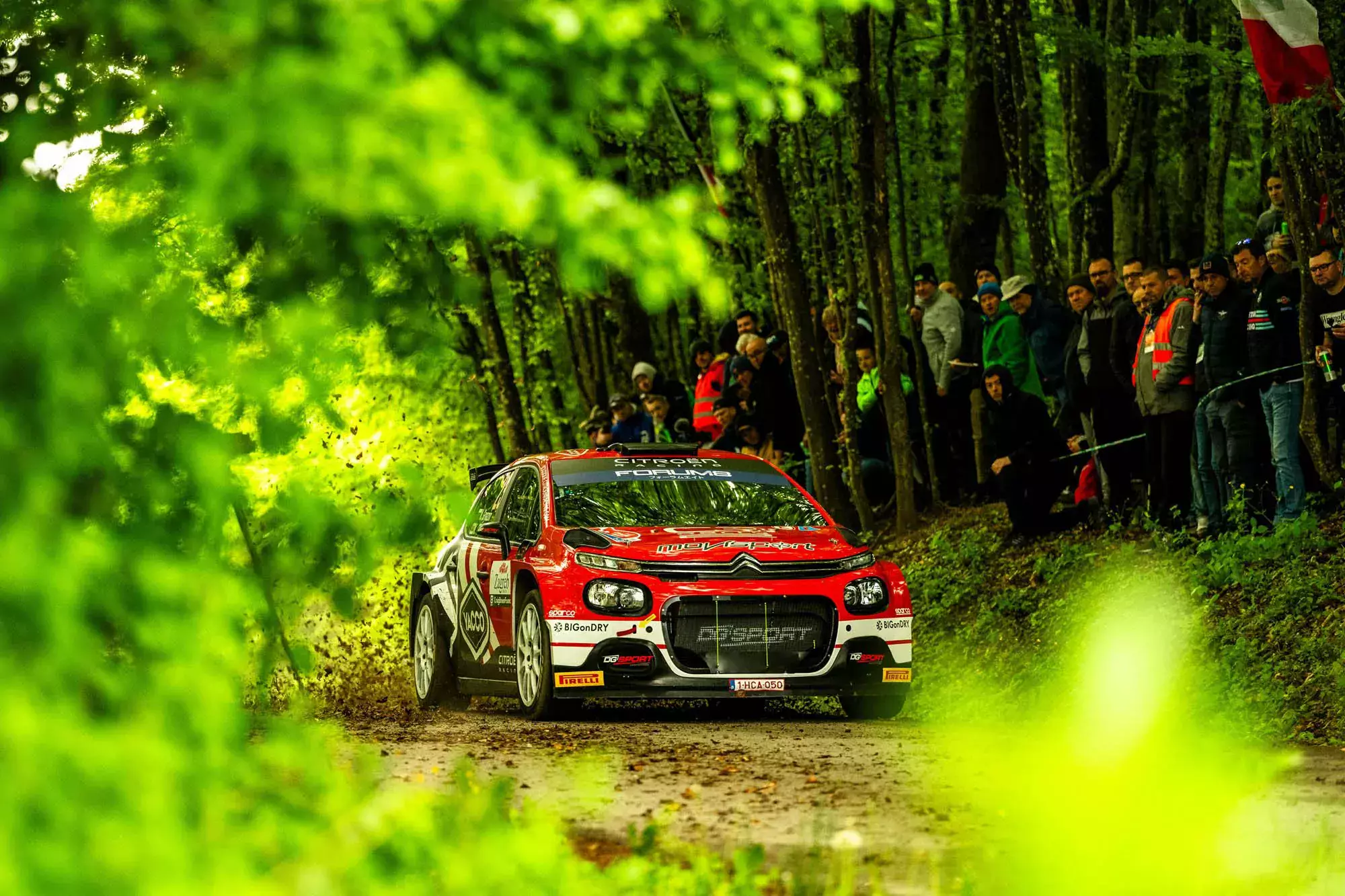 Nikołaj Griazin / Citroen C3 Rally2 / Rajd Chorwacji 2024 / WRC / WRC2