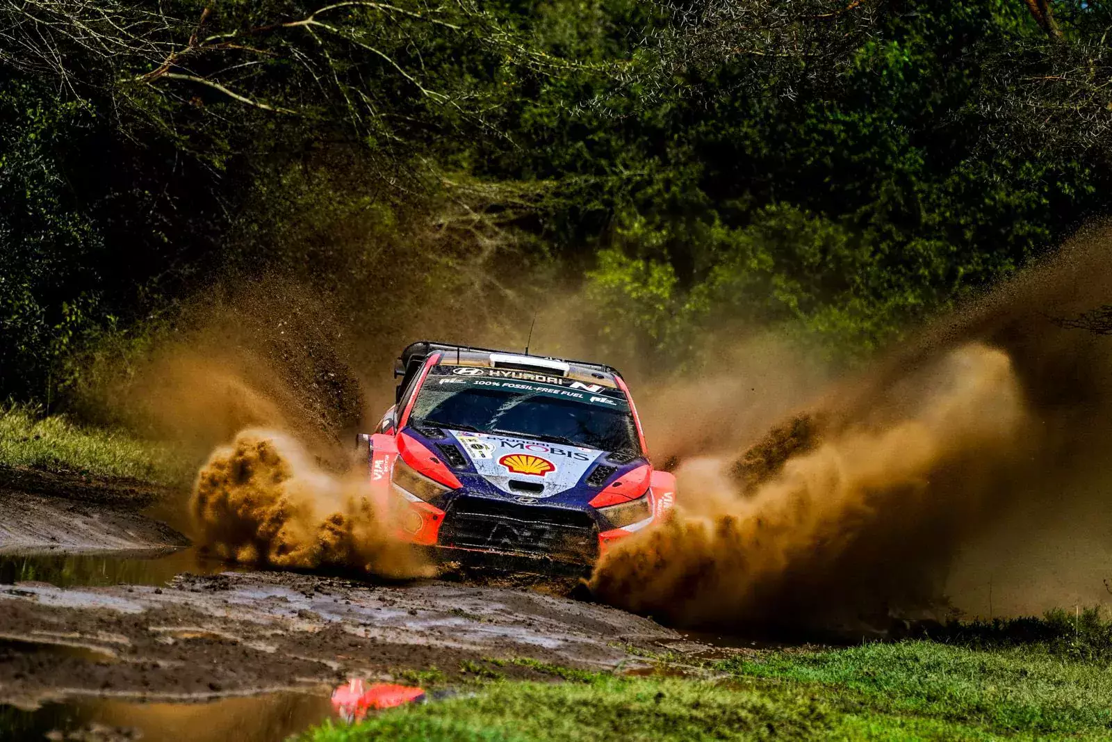 Ott Tanak / Martin Jarveoja / Hyundai i20 N Rally1 / Rajd Safari 2024 / WRC