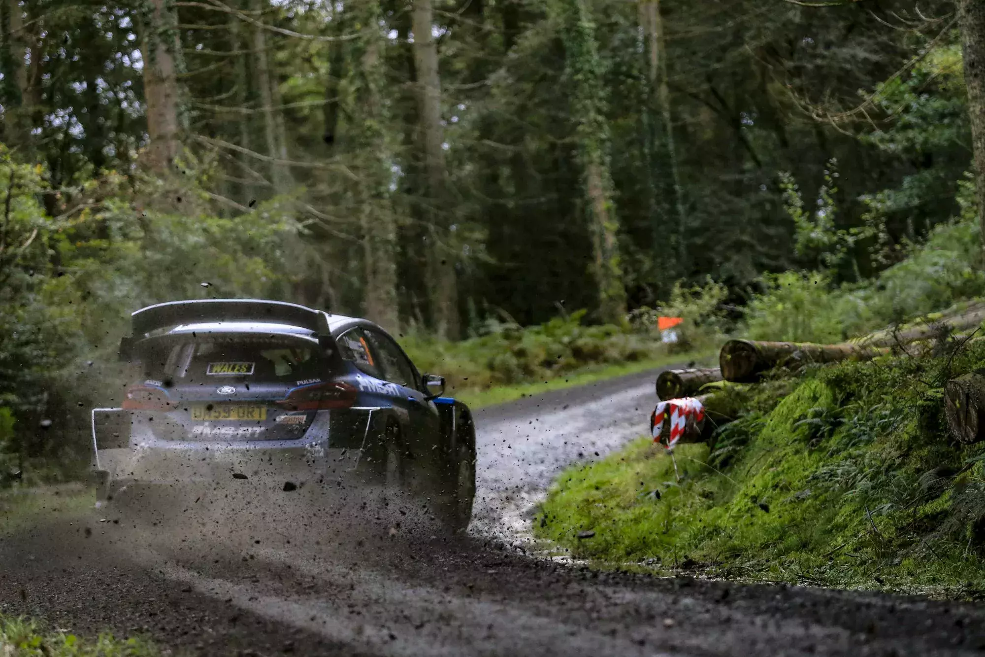 Teemu Suninen / Ford Fiesta WRC / Rajd Wielkiej Brytanii 2019