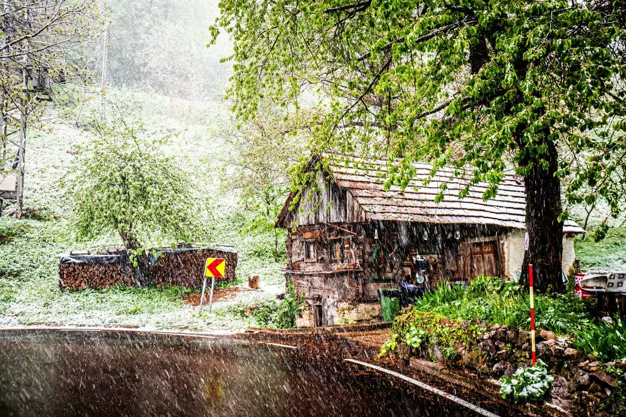 WRC / Śnieg w Rajdzie Chorwacji 2024
