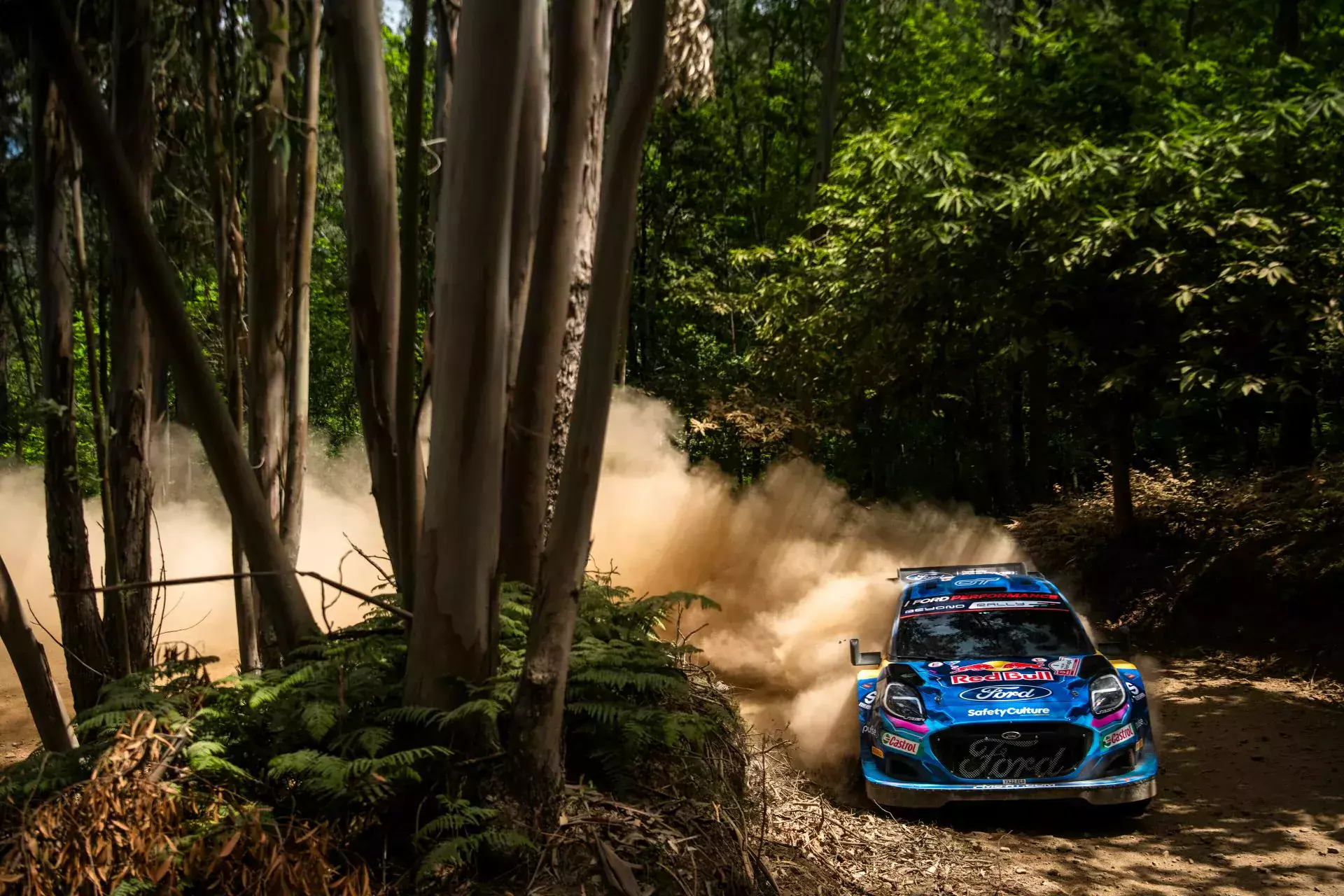 Rajd Portugalii WRC