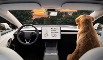 Tesla Model 3 / wnętrze / Dog Mode