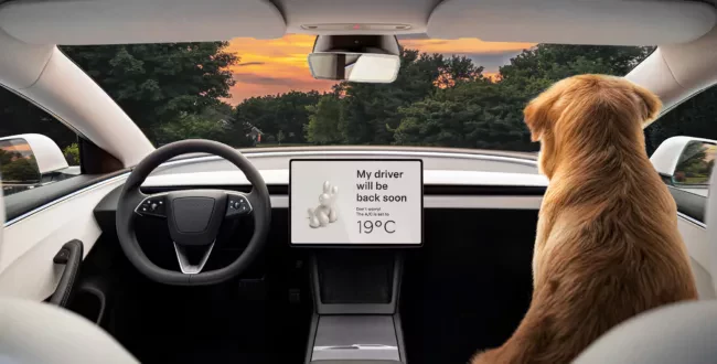 Tesla Model 3 / wnętrze / Dog Mode