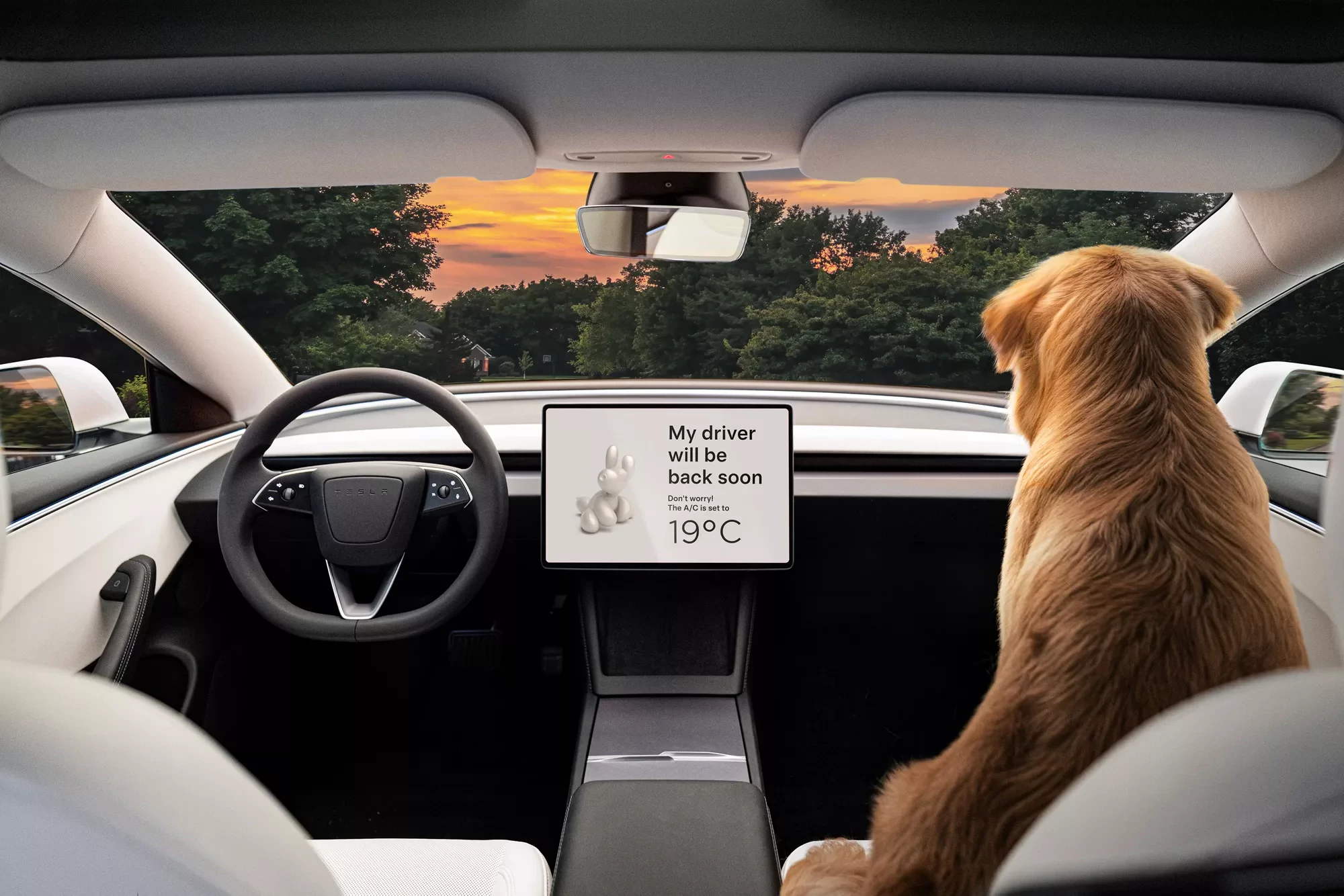 Tesla Model 3 / wnętrze / Dog Mode
