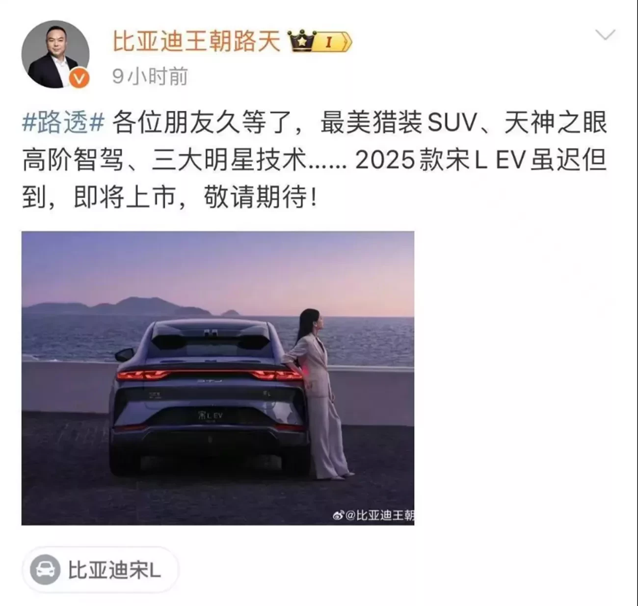 BYD Song L elektryczny SUV