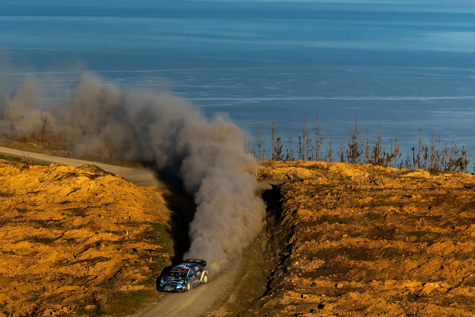 Rajd Chile WRC Kajetanowicz