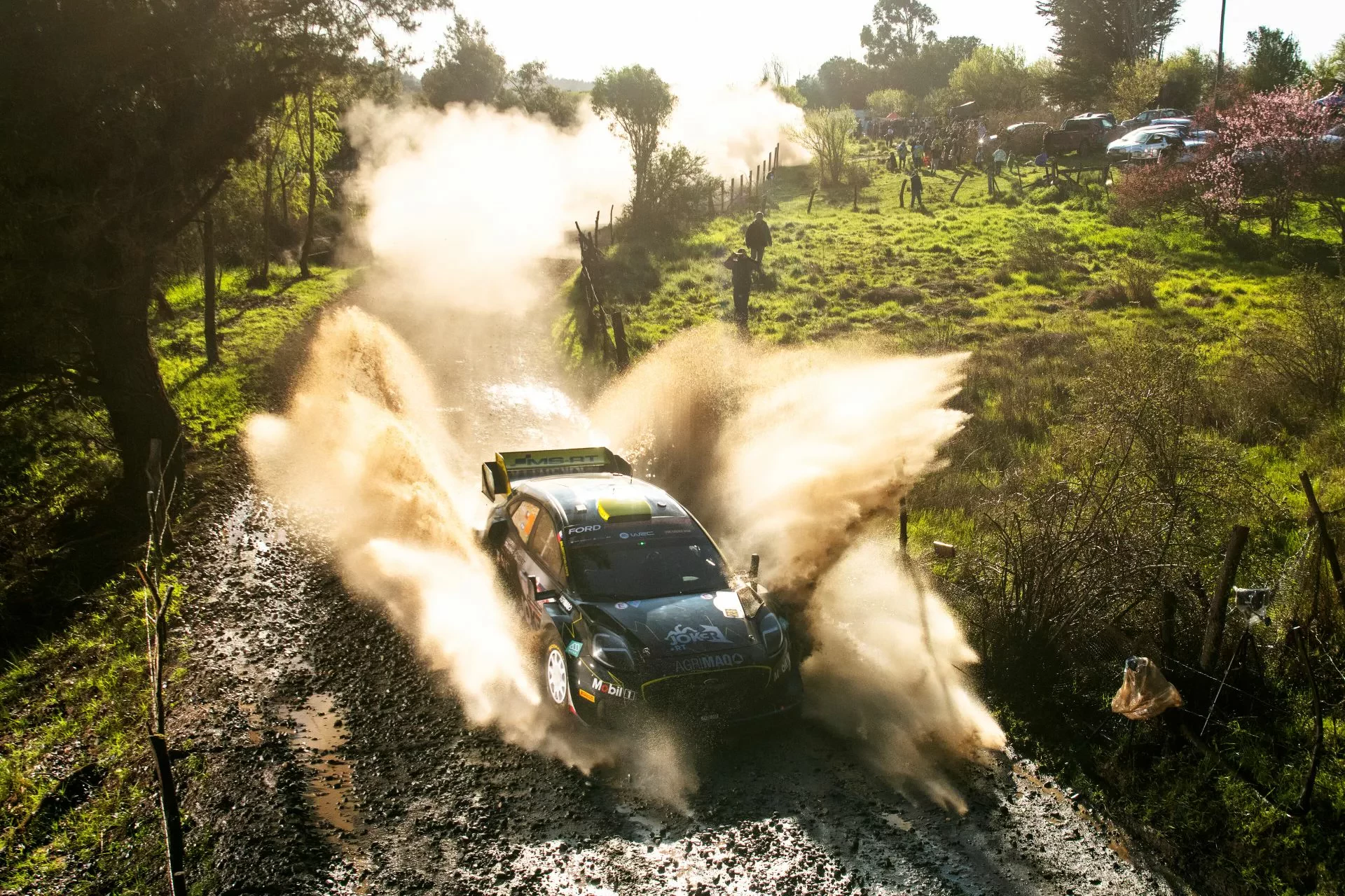 Rajd Chile WRC Kajetanowicz
