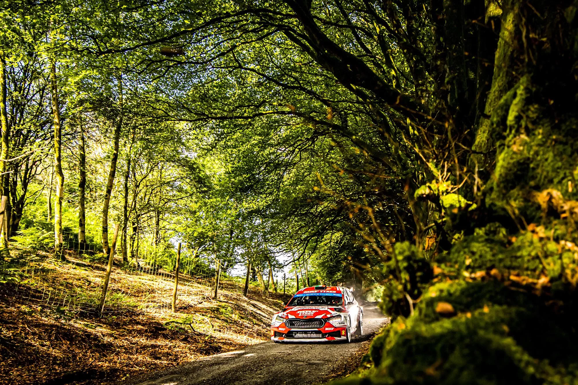 Andrea Mabellini / Skoda Fabia RS Rally2 / Rali Ceredigion 2024