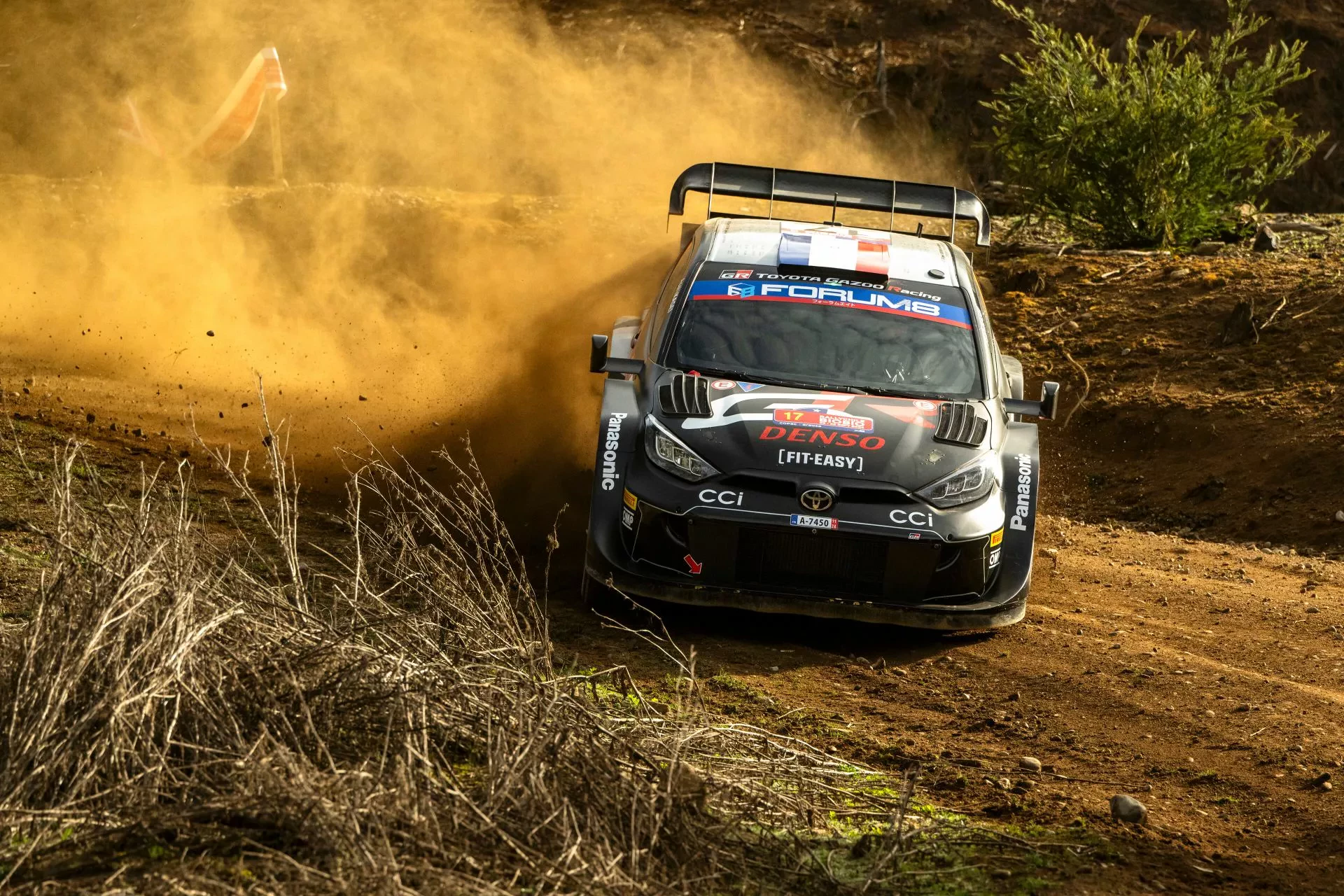 WRC Rajd Chile