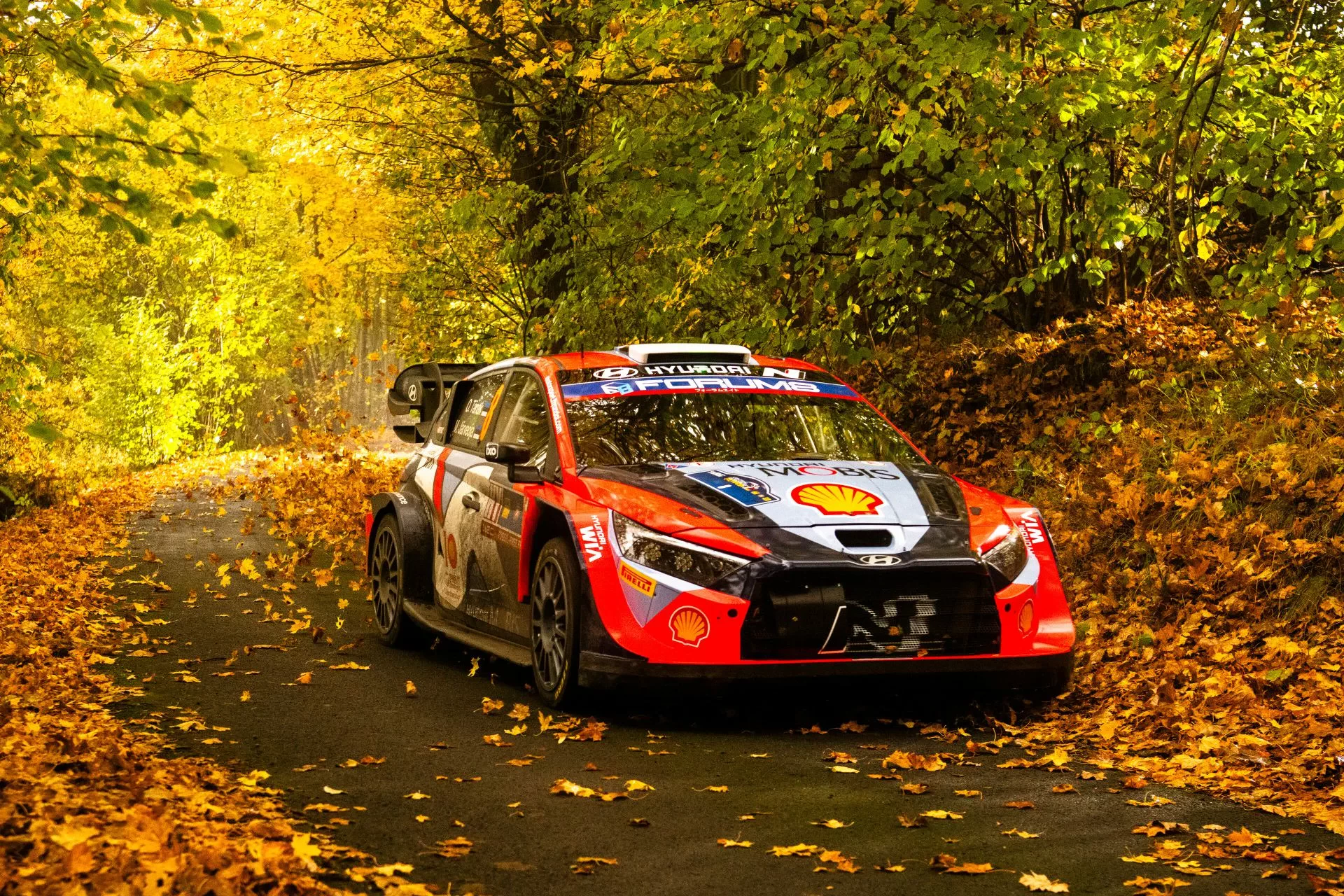 WRC Rajd Europy Środkowej Centralnej