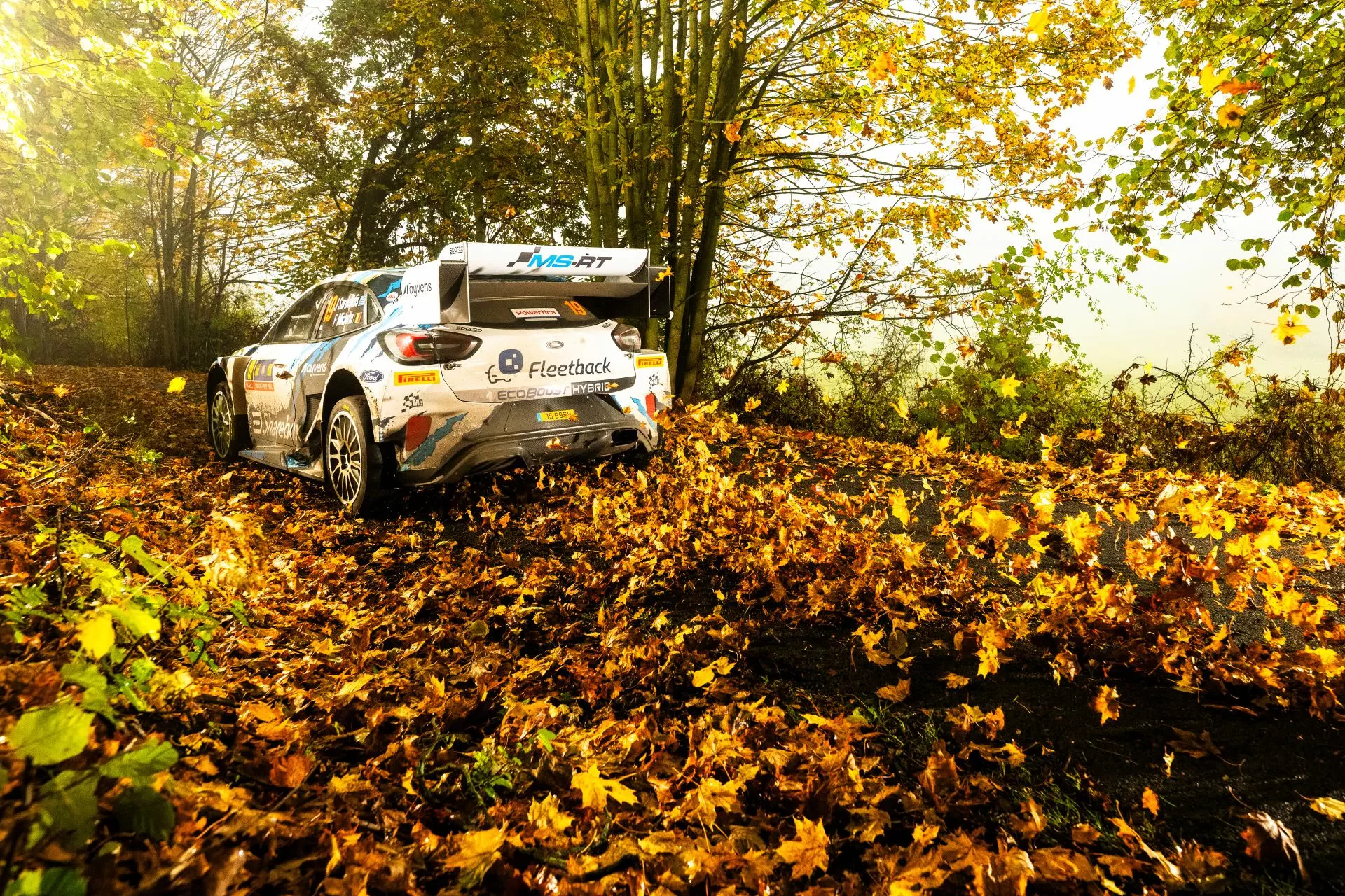 WRC Rajd Europy Środkowej Centralnej