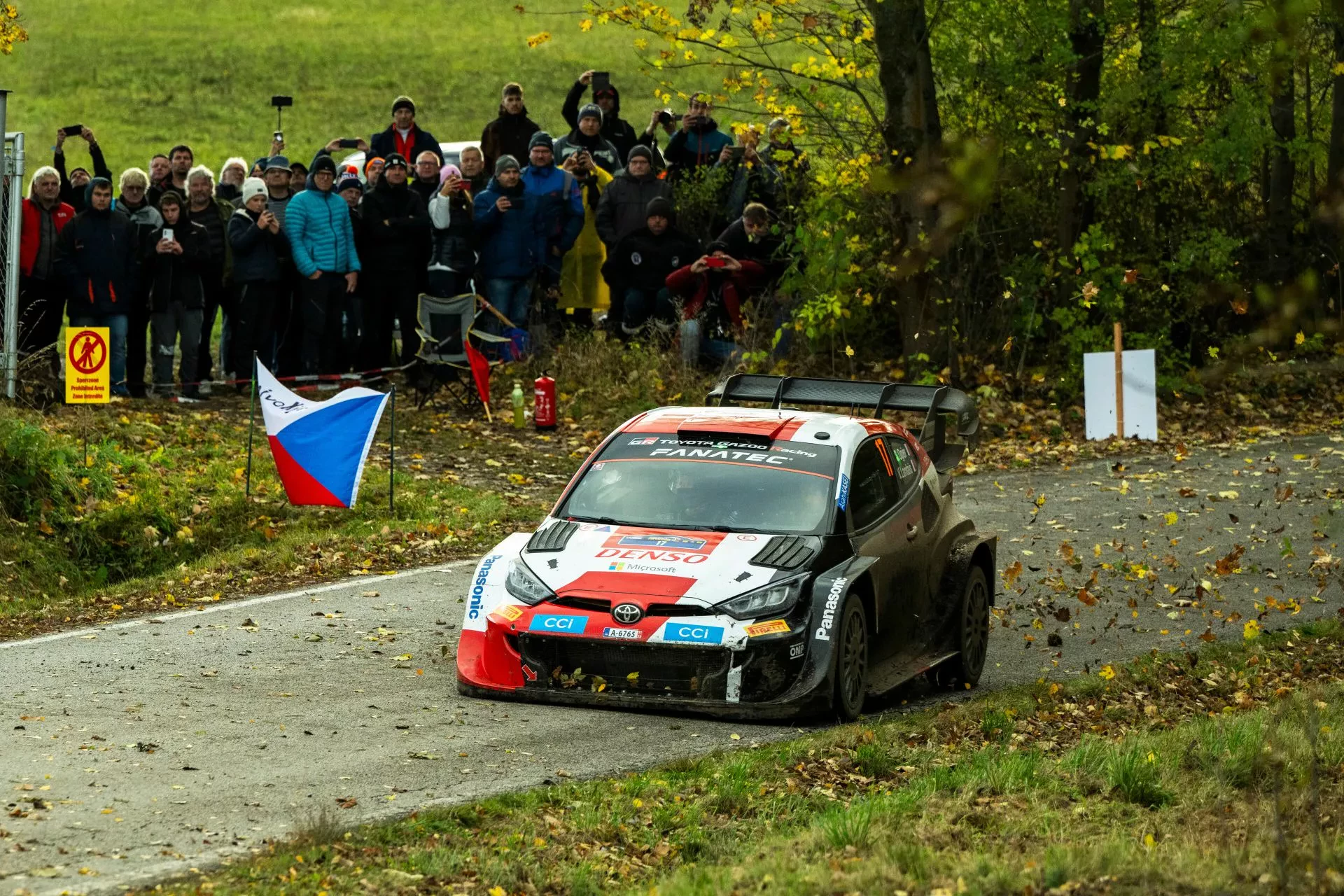 wrc rajd europy centralnej