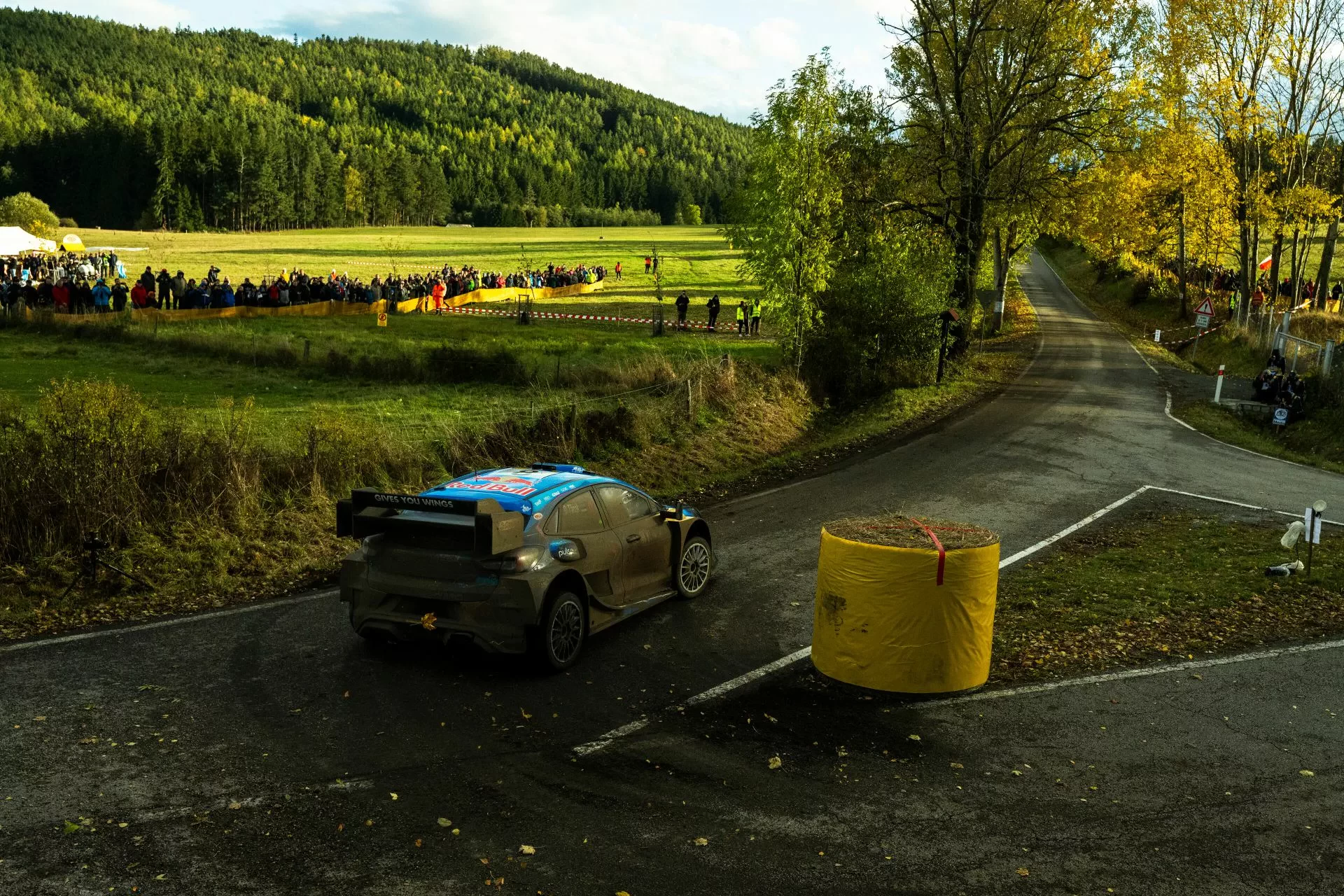 wrc rajd europy centralnej