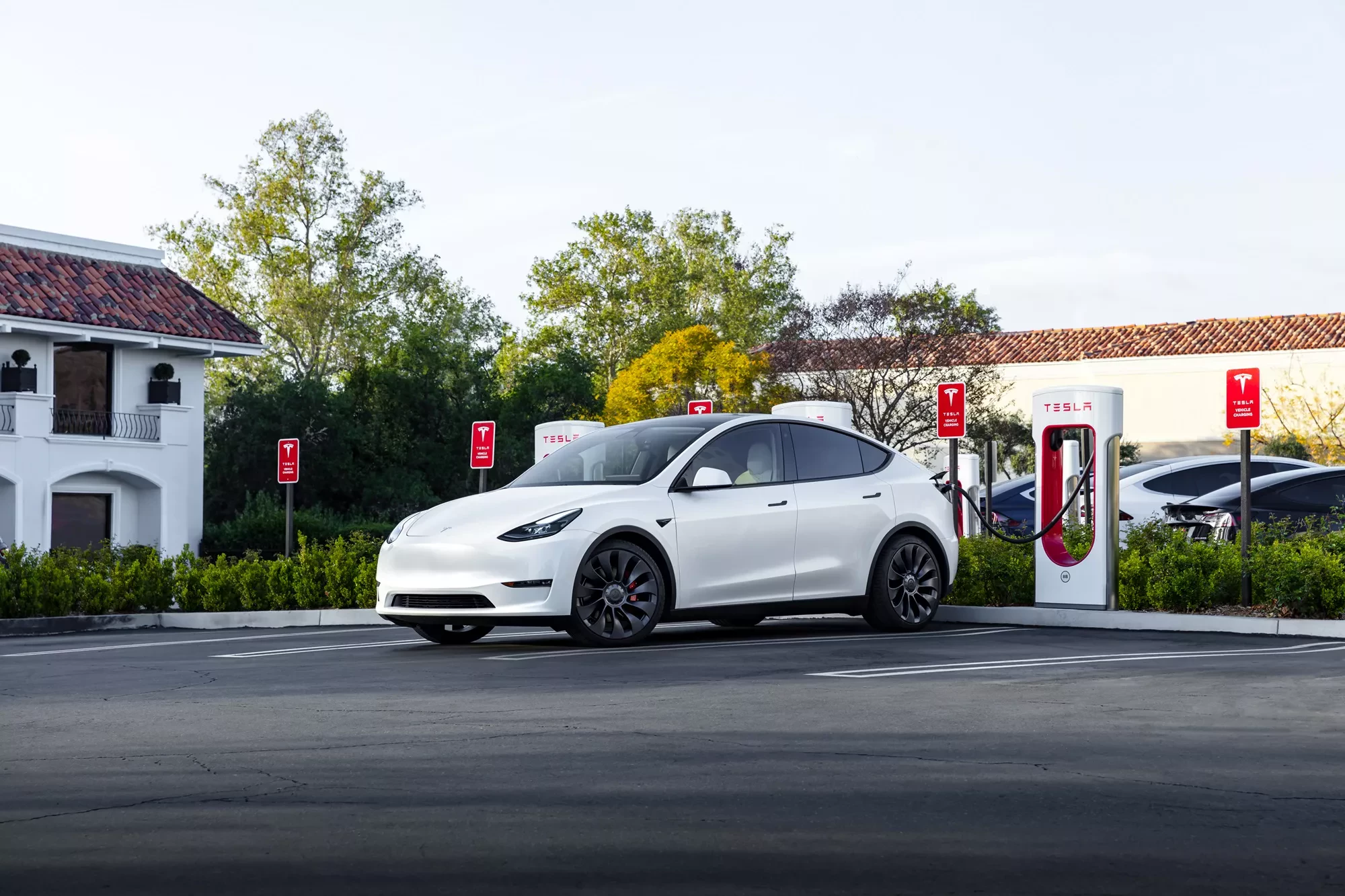 Tesla Model Y na ładowarce Supercharger / Elon Musk daje promocję w Polsce