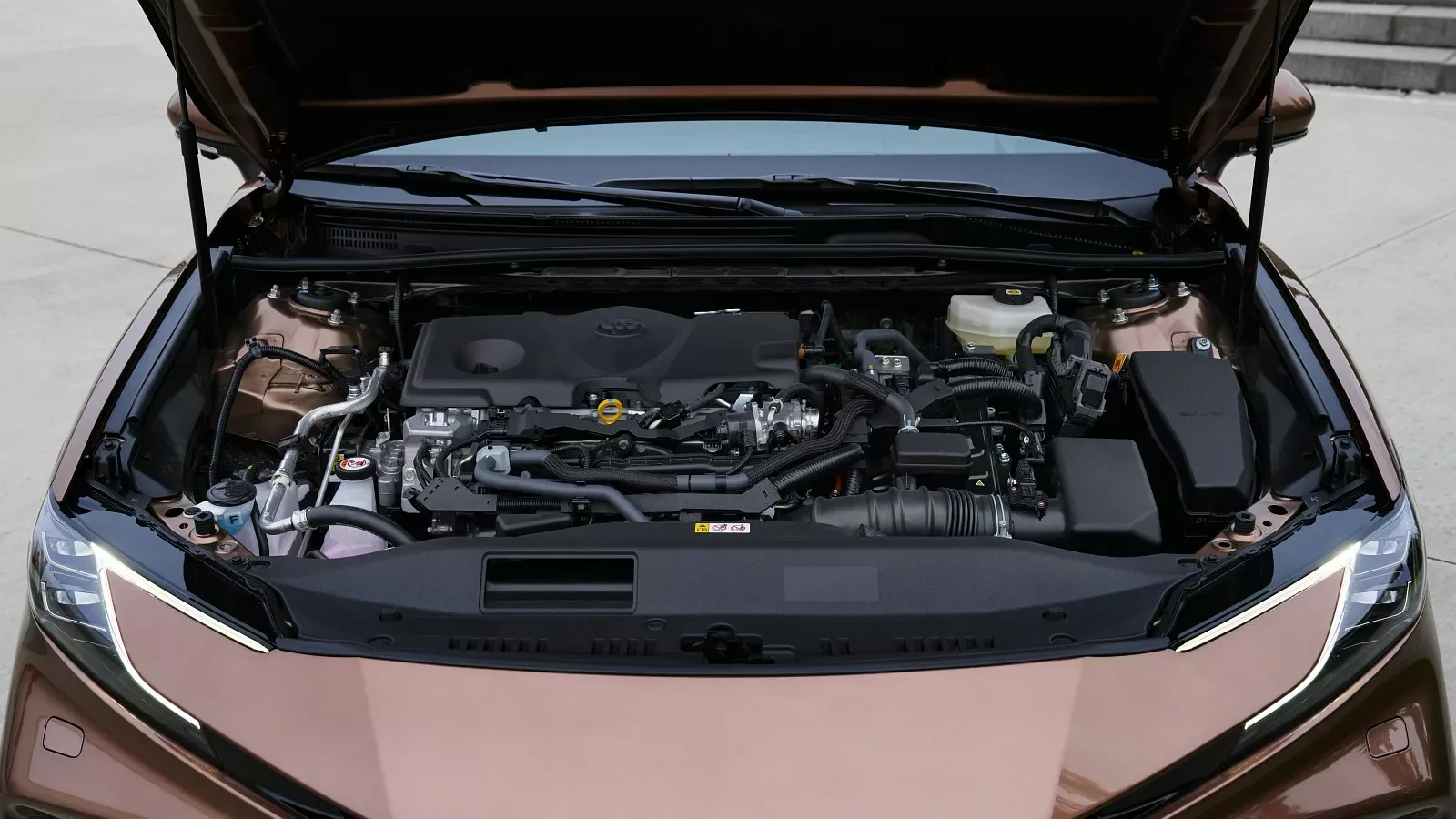 car-of-the-year-usa