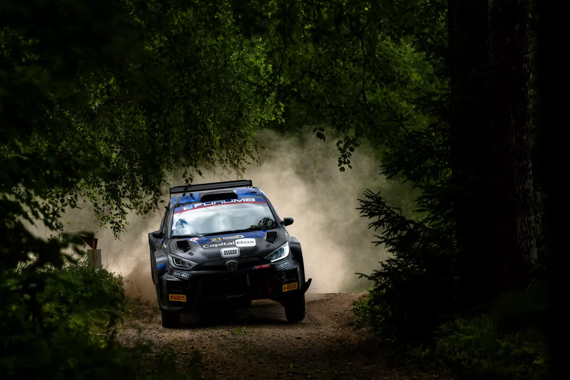 WRC Rajd Japonii Kajetan Kajetanowicz