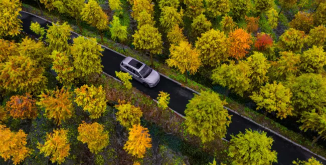 Nowy SUV MG ES5 EV 2025