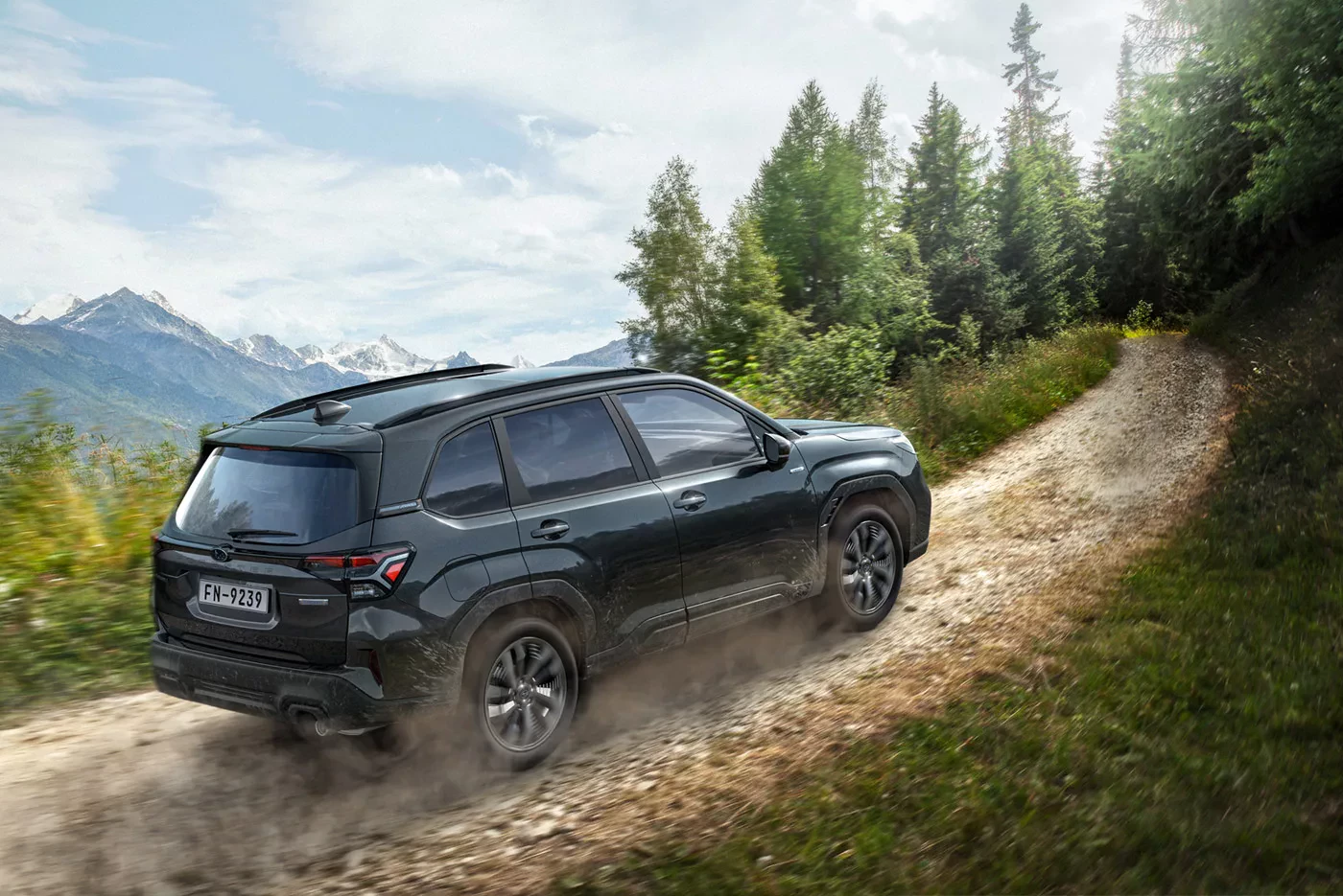 SUV Subaru Forester