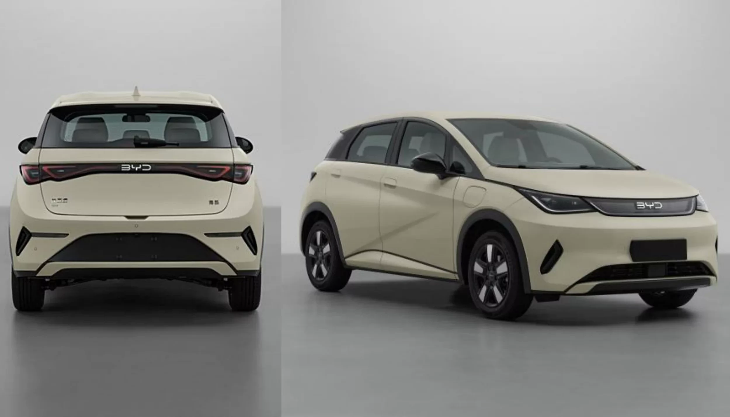 BYD Dolphin EV