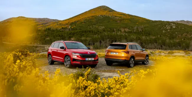 Skoda Karoq