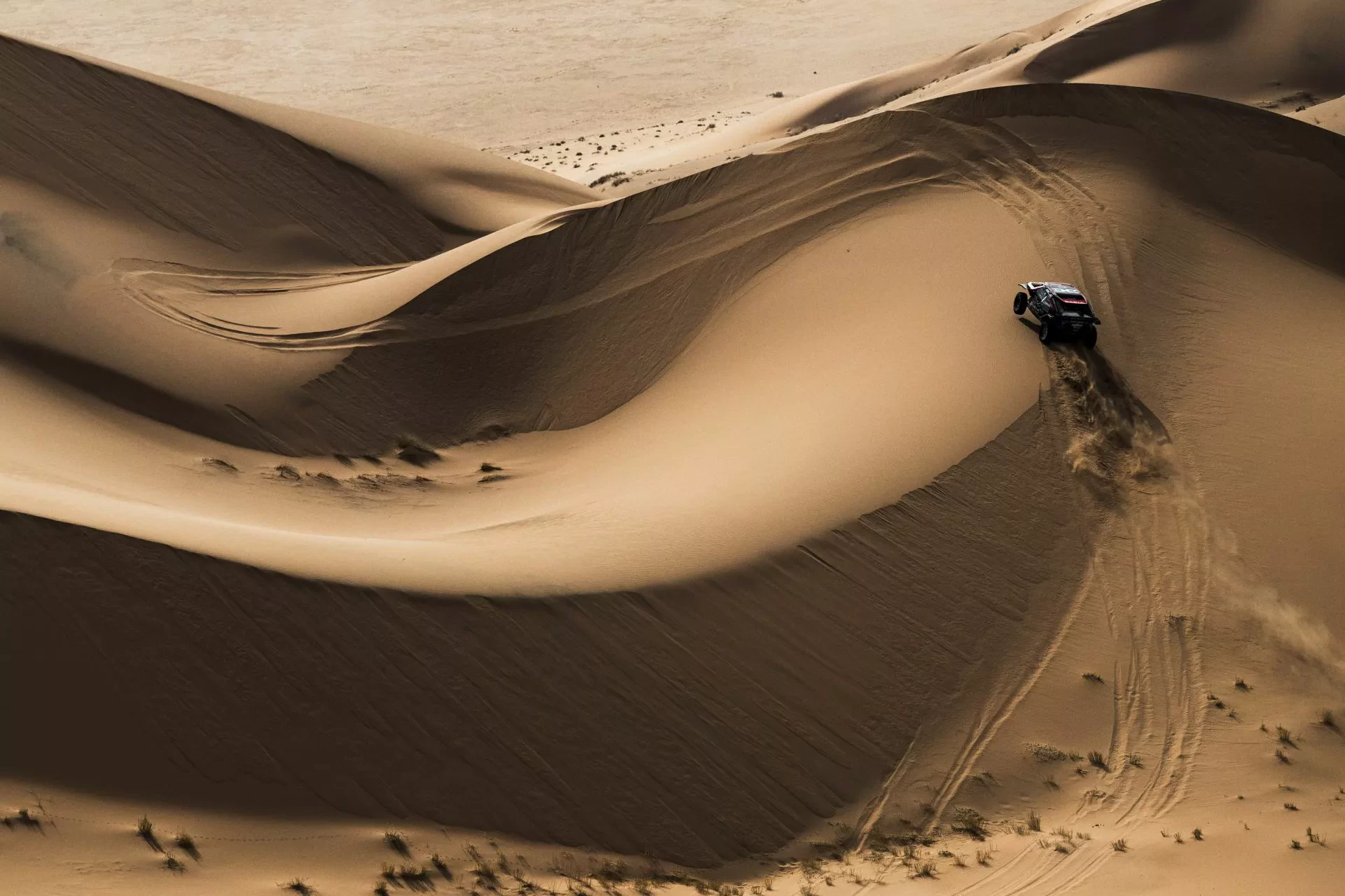Rajd Dakar Dacia Sandrider