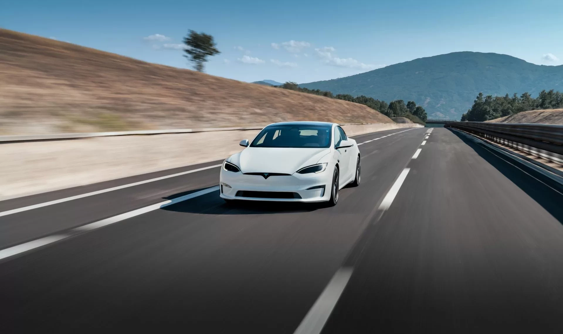 Tesla Elon Musk gest problemy