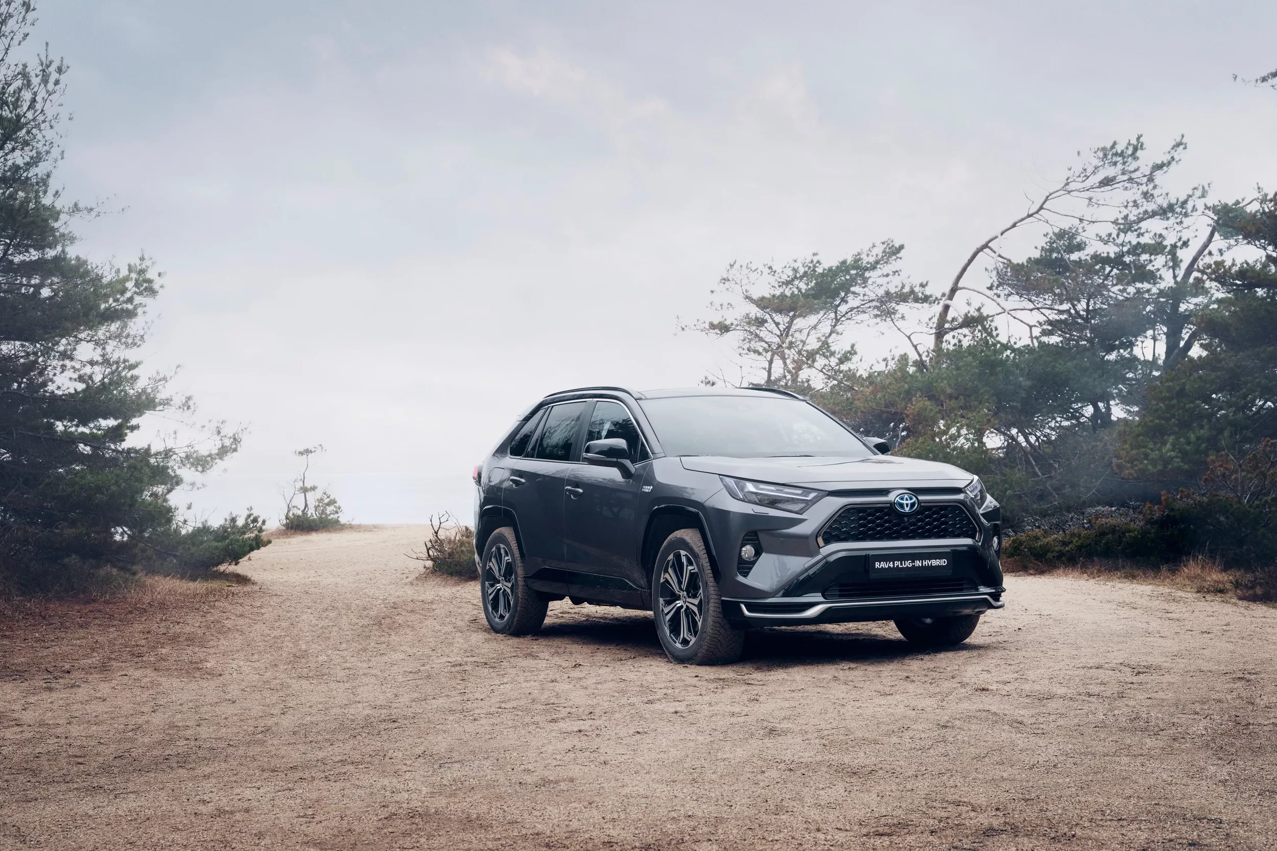Toyota RAV4_PHEV