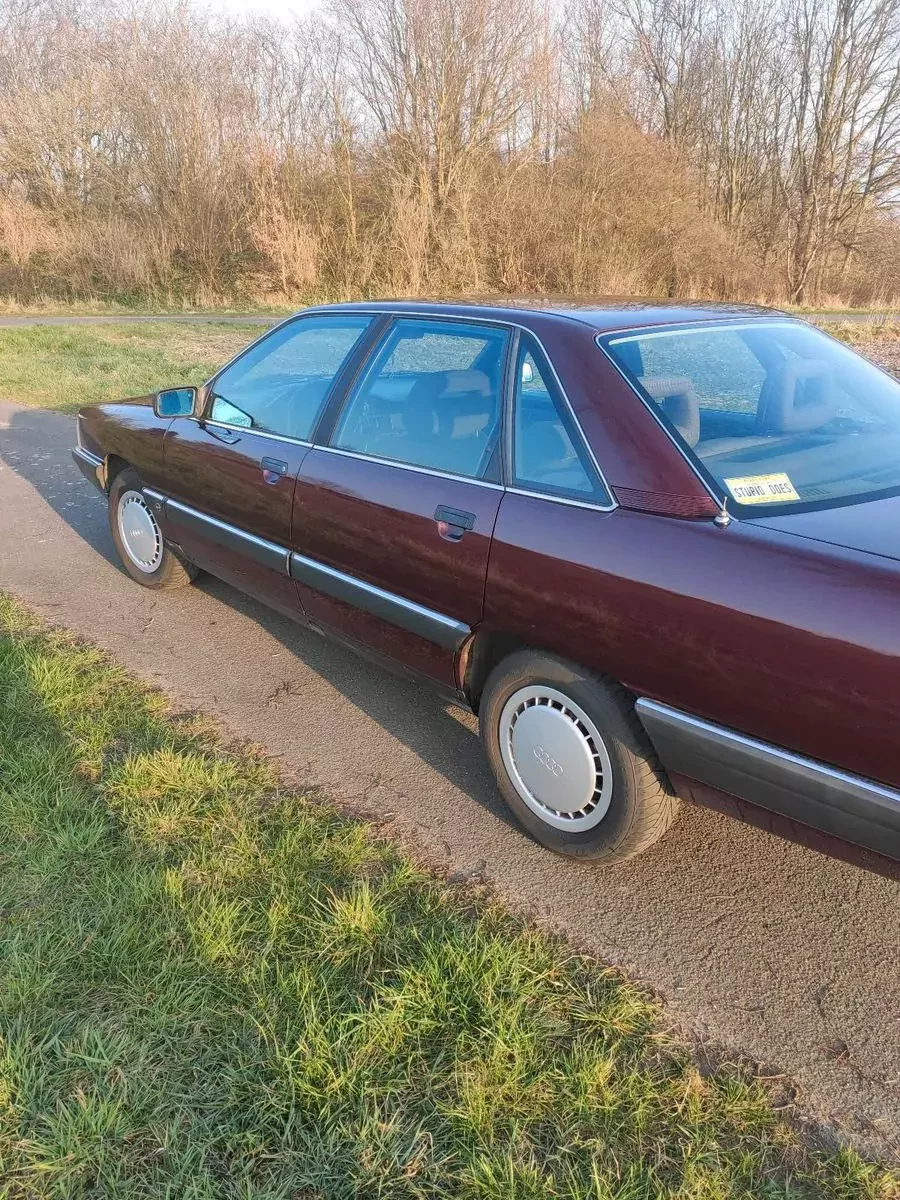 audi-100-cygaro-5-cylindrow