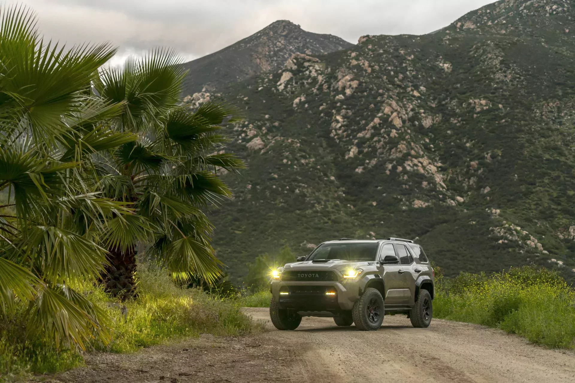 Toyota 4Runner silnik cena moc osiągi USA import opinie oceny