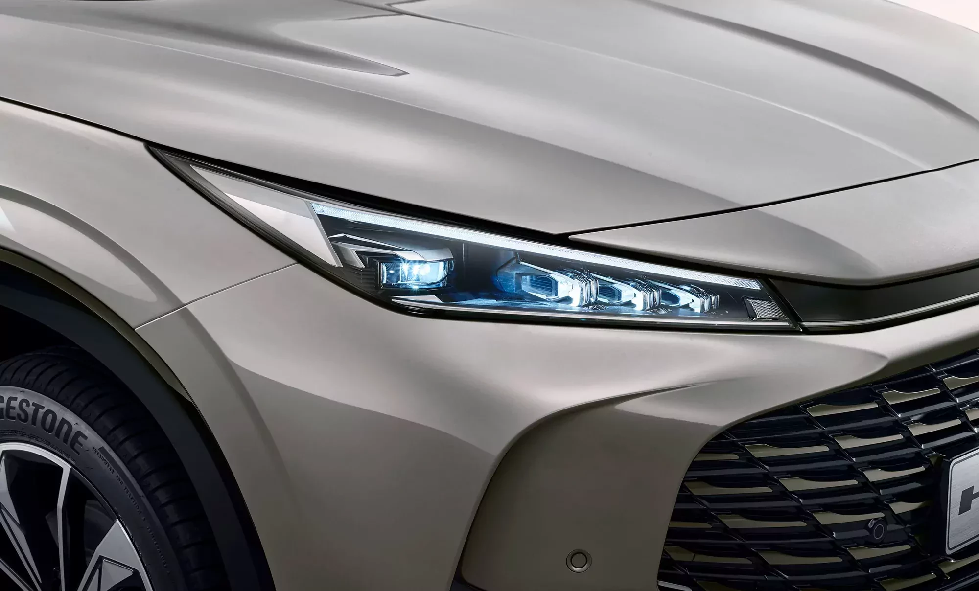 Pod salonami samochodowymi w Polsce dochodzi do scen jak przy otwarciu nowej Biedronki. Rekordowe tłumy nie tylko u chińskich dealerów