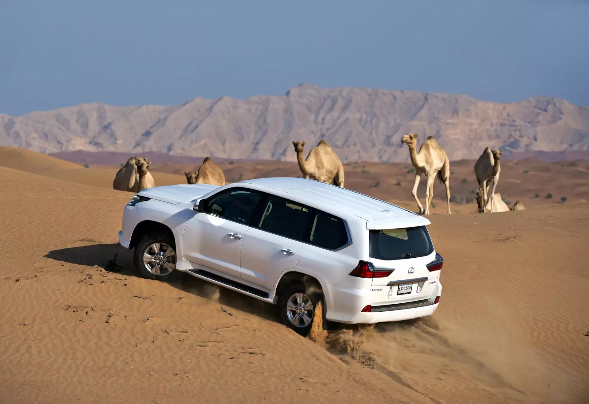Lexus LX SUV silnik moc cena ceny luksus prestiż komfort opinie oceny zalety wady